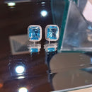 Brinco Luxo Gabriela