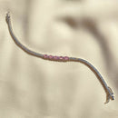 Pulseira Riviera Quatro Rosas